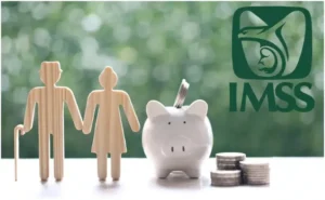 Razones por las que podrías perder tu pensión en la Modalidad 40