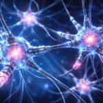 La nueva generación de neuronas artificiales que revoluciona la IA La nueva generación de neuronas artificiales que revoluciona la IA
