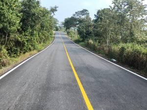 Ricardo Gallardo entregará camino a Santa María Picula