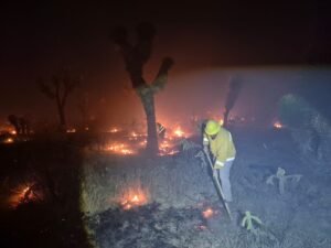 Gobierno del Estado refuerza operativo contra incendio en Santo Domingo