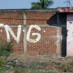 El CJNG funciona como una poderosa empresa de mercados ilegales cjng