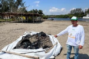 Retiran 7 toneladas de chapopote en playas de Veracruz
