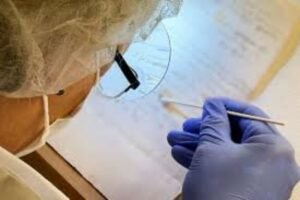 ¿Un paso más cerca de descifrar el verdadero código da Vinci? Científicos buscan nuevas pistas sobre el ADN del polímata italiano