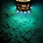 Científicos descubren molusco con armadura de hierro en el océano-1