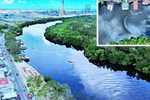 Deja Dos Bocas mancha tóxica