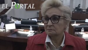 Salud mental, uno de los principales problemas de salud pública: Dip.Azuara