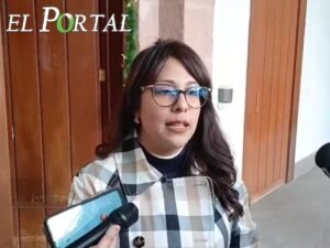 Dip. López aclara alcance de la violencia Vicaria y respaldo de la Suprema Corte