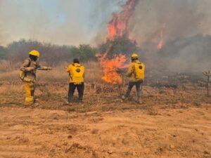 Acciones de combate al fuego en boulevar BMW