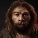 neandertales