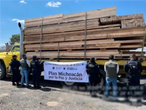 Operativo contra tala ilegal en Reserva Monarca en Michoacán