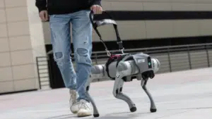 Perro robot que “habla”: así guía a personas con discapacidad visual