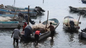 Pescadores afectados por contaminación de hidrocarburo recibirán apoyo extra de 15 mil pesos