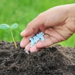 crisis fertilizantes