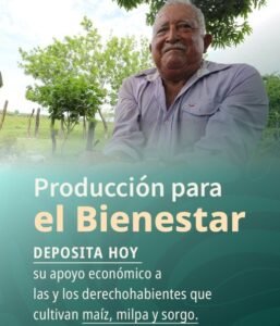 Impulsan el campo: Gobierno de Claudia Sheinbaum inicia entrega de apoyos de hasta 24 mil pesos