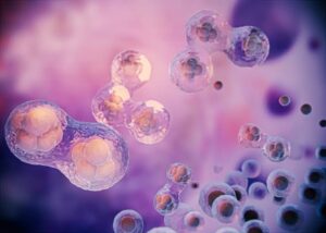 Instituto Nacional de Ciencias Médicas y Nutrición cuenta con Programa de Trasplante de Células Progenitoras Hematopoyéticas