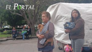 Madrugan potosinos por esterilización gratuita; hasta callejeritos fueron llevados a cirugía y piden más fechas