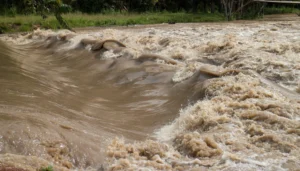 Huracán Simon deja un muerto y daños en 20 municipios de Guerrero