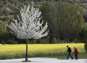 La esperanza de vida global alcanza 73.4 años y supera el impacto de la pandemia