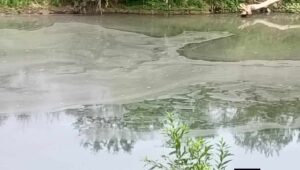 Llama SEGAM a municipios a frenar contaminación: ríos de SLP reciben aguas negras sin tratamiento